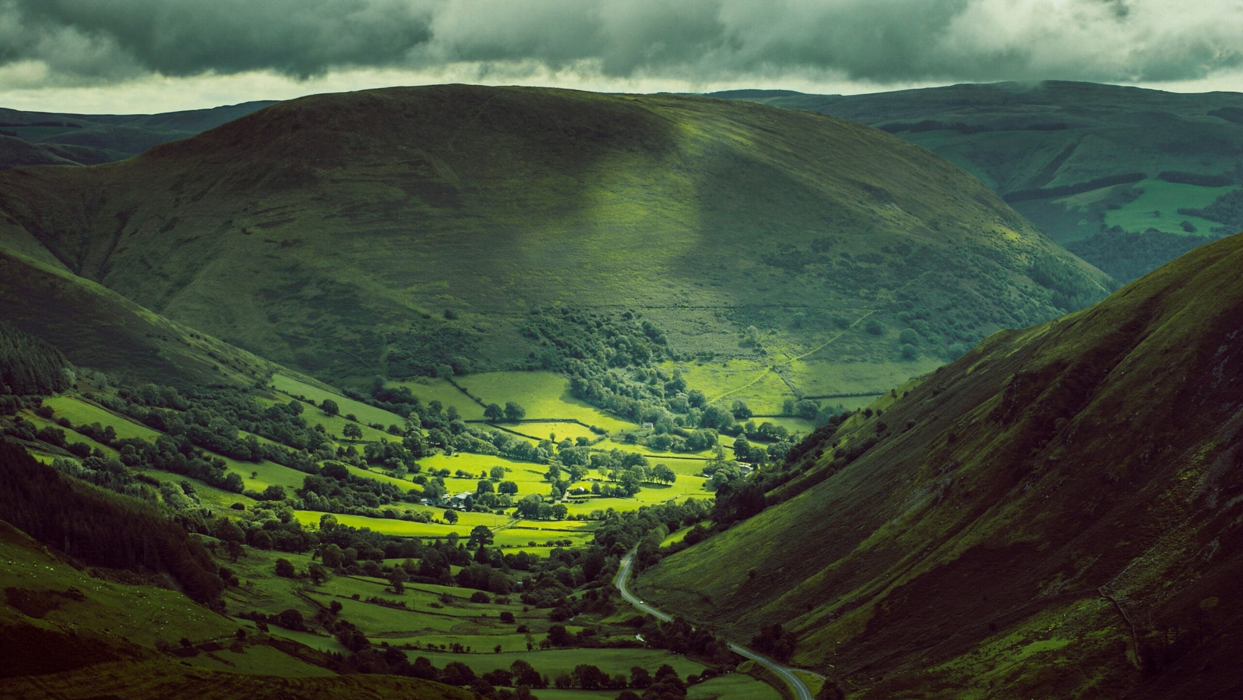 istockphoto 1359999537 cropped wide